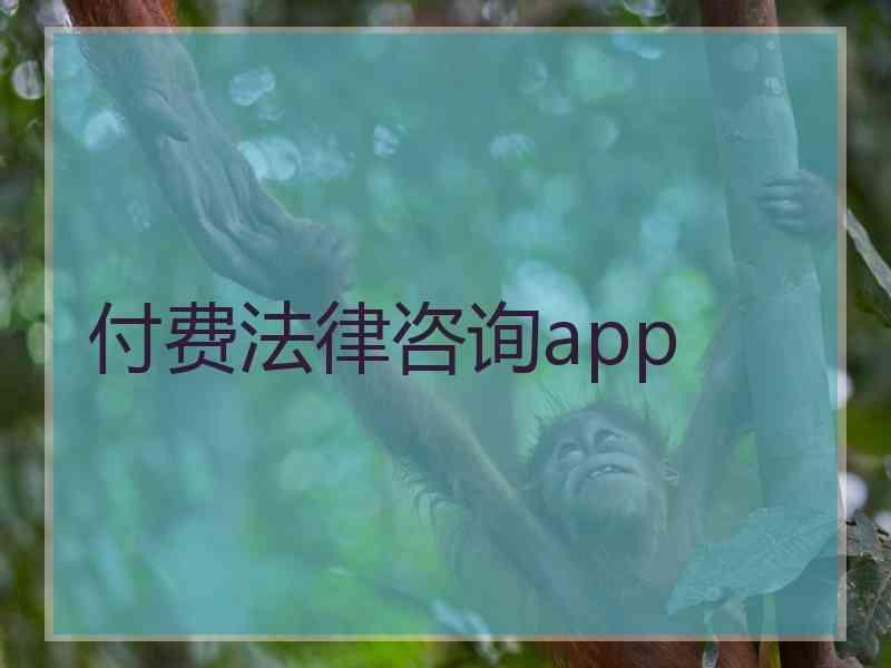 付费法律咨询app