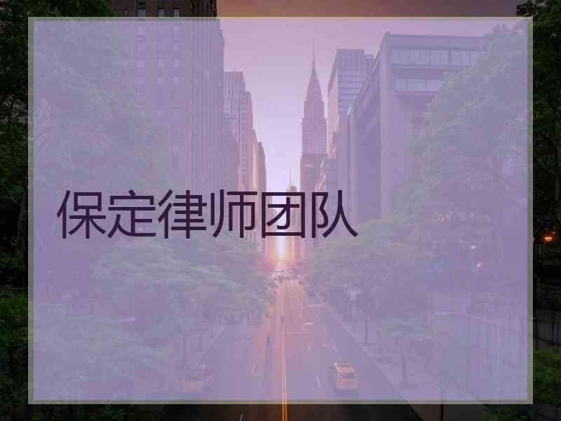 保定律师团队