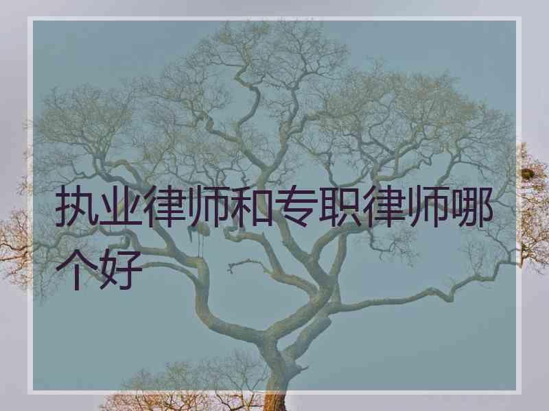 执业律师和专职律师哪个好