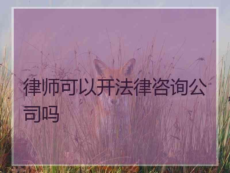 律师可以开法律咨询公司吗