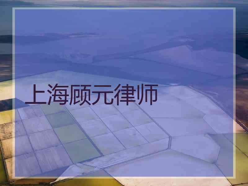 上海顾元律师