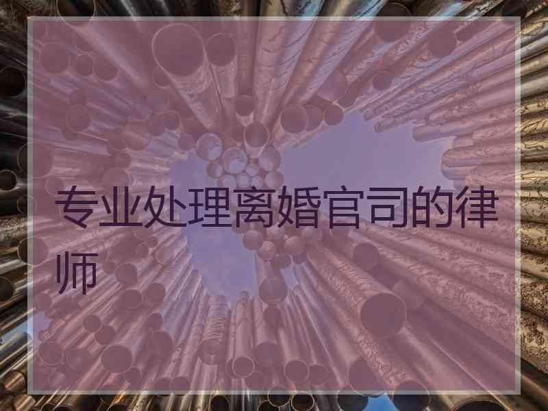 专业处理离婚官司的律师