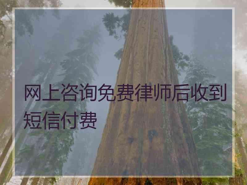 网上咨询免费律师后收到短信付费