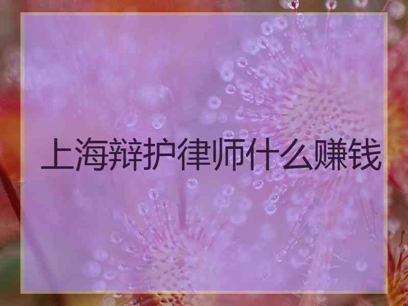 上海辩护律师什么赚钱