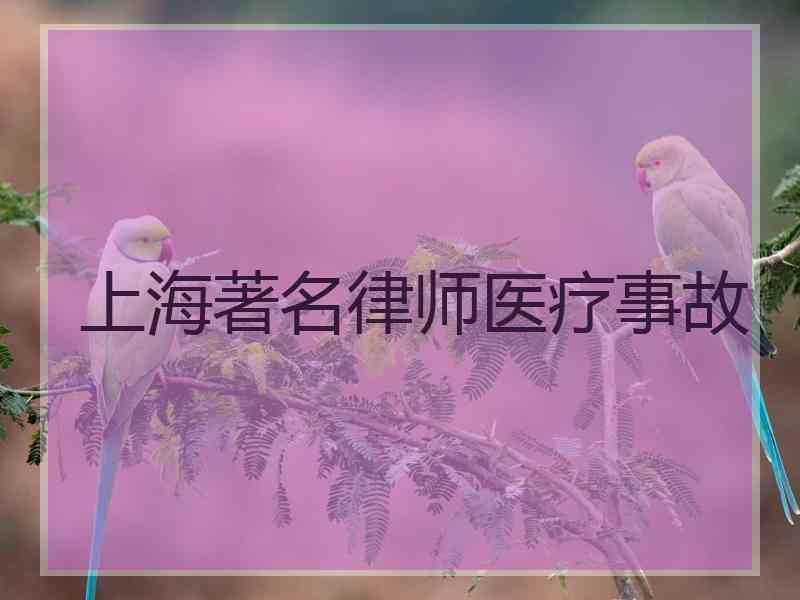 上海著名律师医疗事故