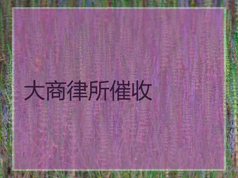 大商律所催收