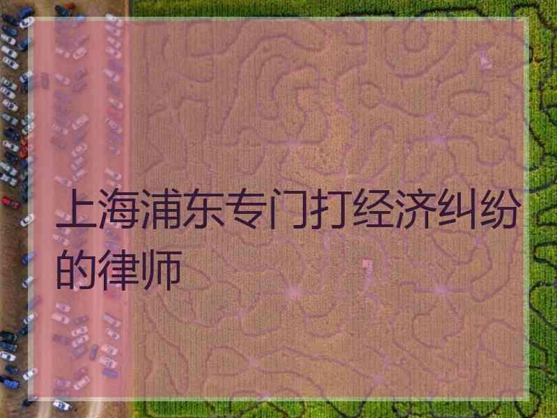 上海浦东专门打经济纠纷的律师