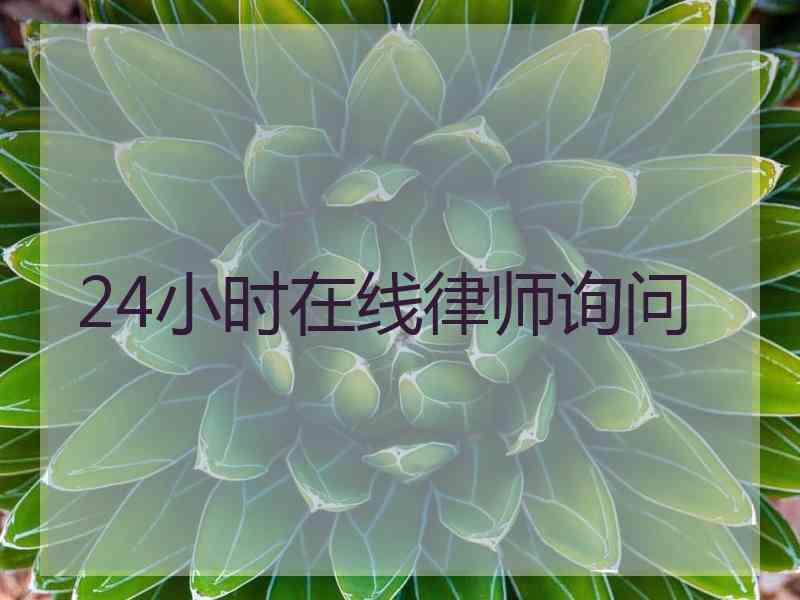 24小时在线律师询问