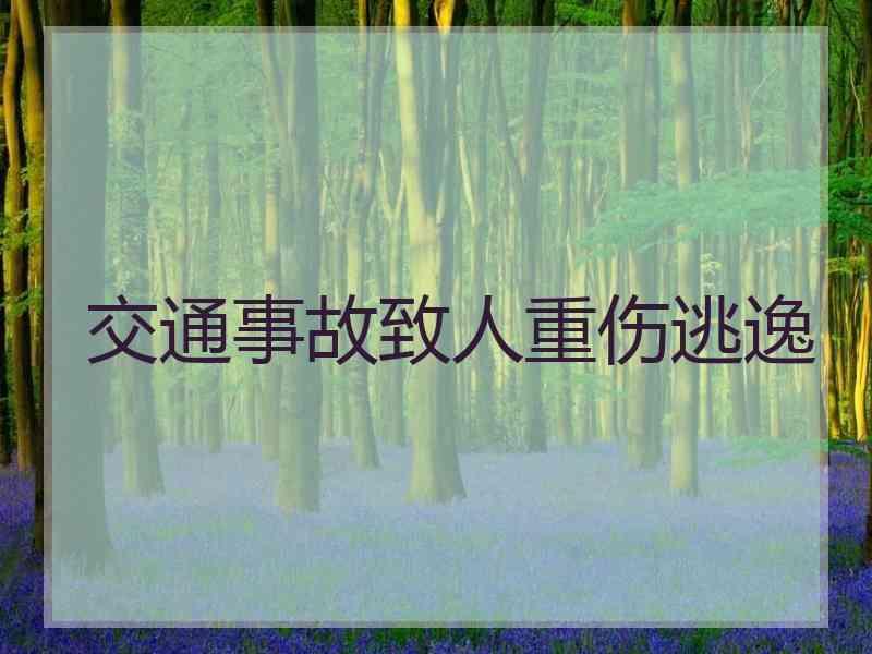 交通事故致人重伤逃逸