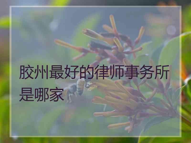 胶州最好的律师事务所是哪家