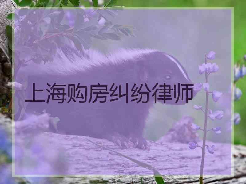 上海购房纠纷律师