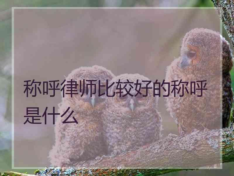 称呼律师比较好的称呼是什么