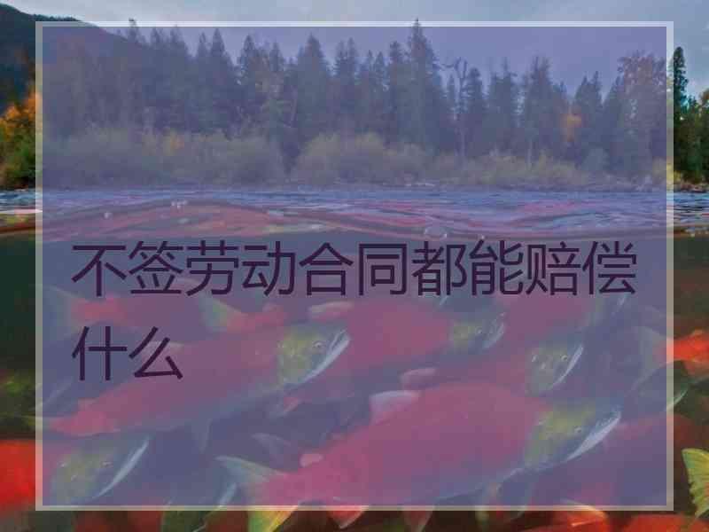 不签劳动合同都能赔偿什么