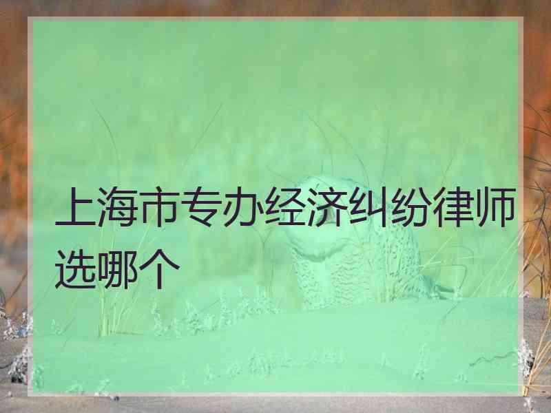 上海市专办经济纠纷律师选哪个