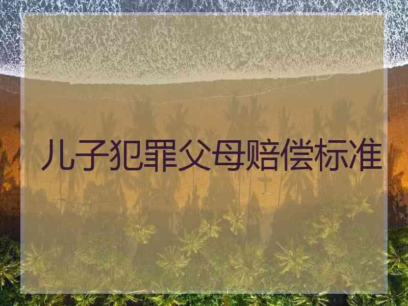 儿子犯罪父母赔偿标准