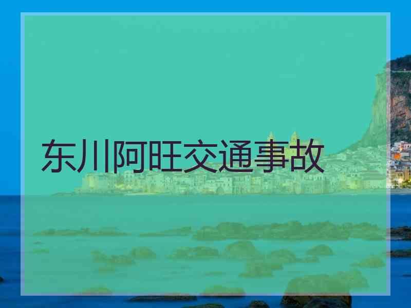 东川阿旺交通事故