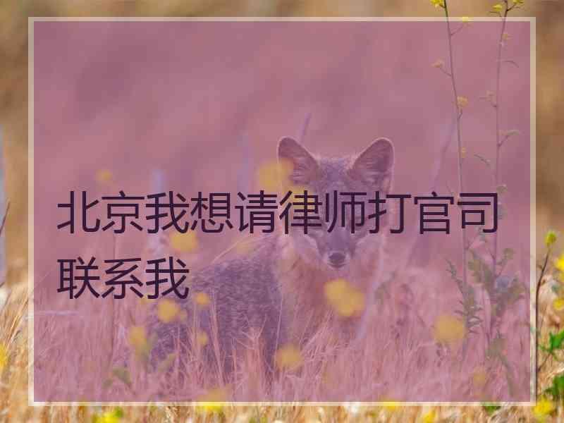 北京我想请律师打官司联系我