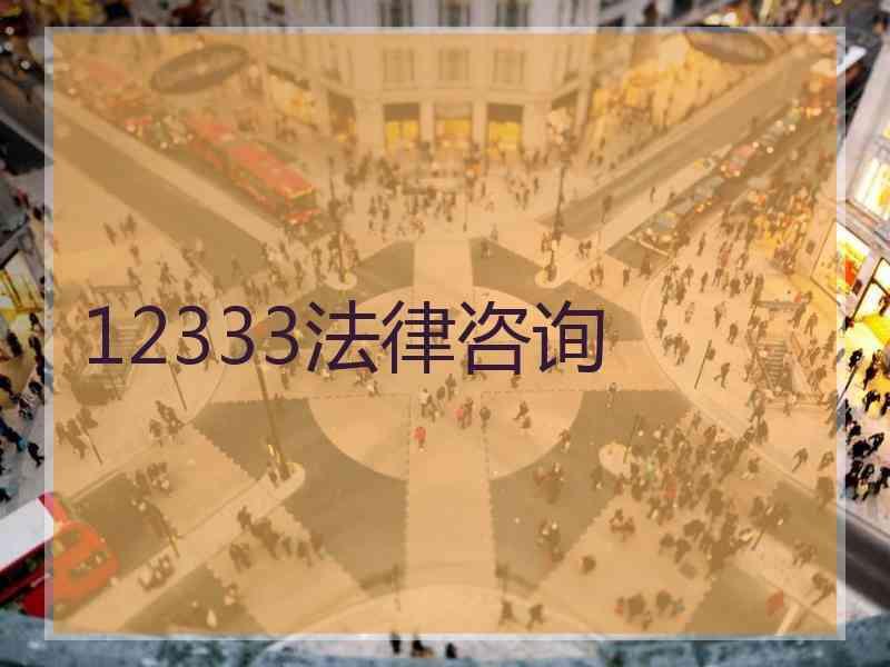 12333法律咨询