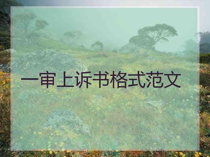 一审上诉书格式范文