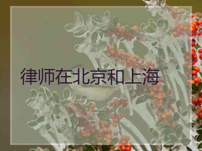 律师在北京和上海