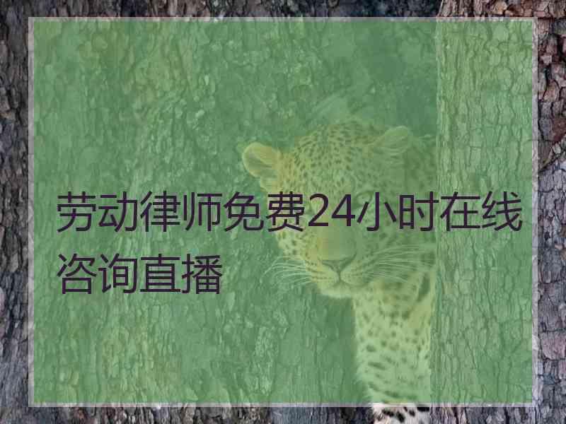 劳动律师免费24小时在线咨询直播