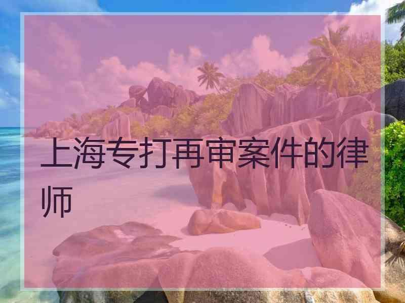 上海专打再审案件的律师