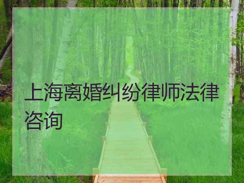 上海离婚纠纷律师法律咨询