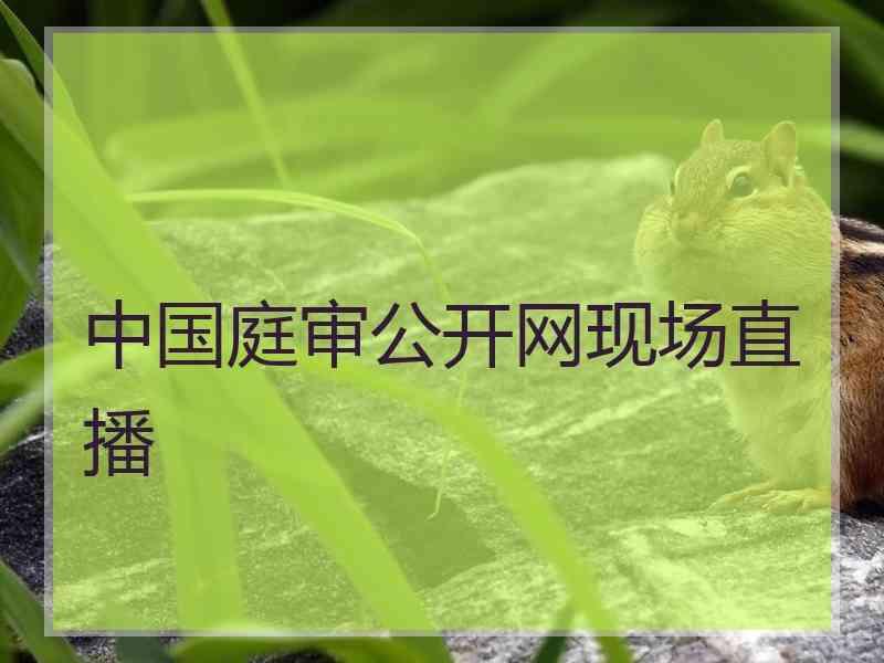 中国庭审公开网现场直播