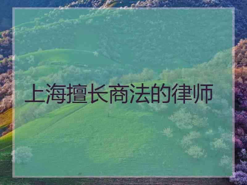 上海擅长商法的律师