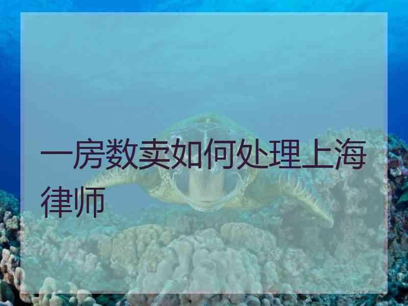 一房数卖如何处理上海律师