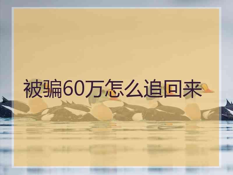 被骗60万怎么追回来