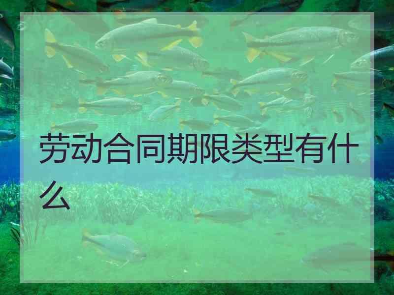 劳动合同期限类型有什么