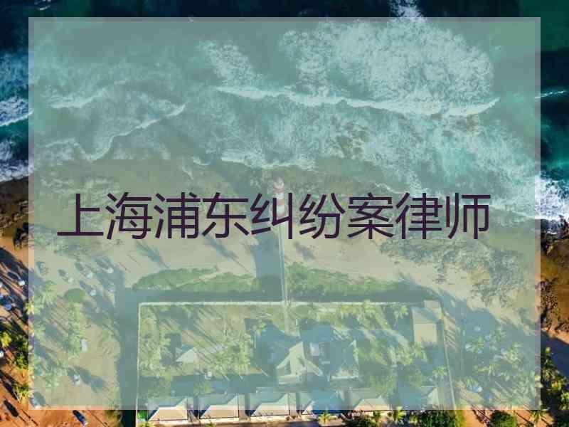 上海浦东纠纷案律师