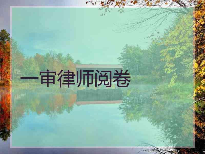 一审律师阅卷