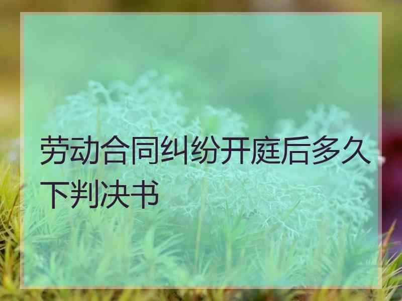 劳动合同纠纷开庭后多久下判决书