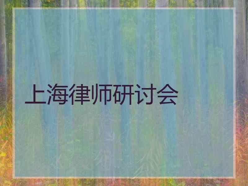 上海律师研讨会