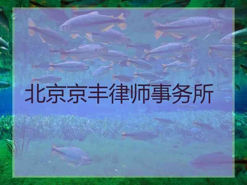 北京京丰律师事务所