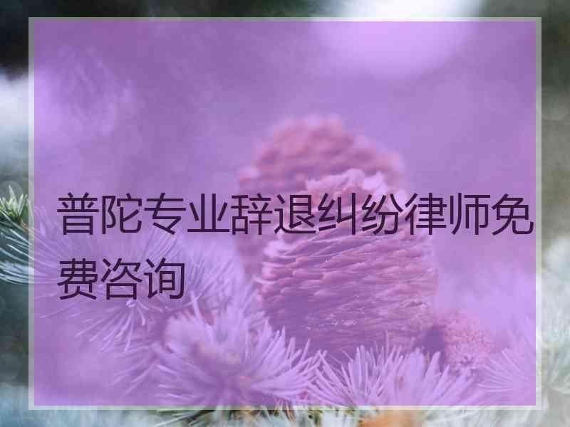 普陀专业辞退纠纷律师免费咨询