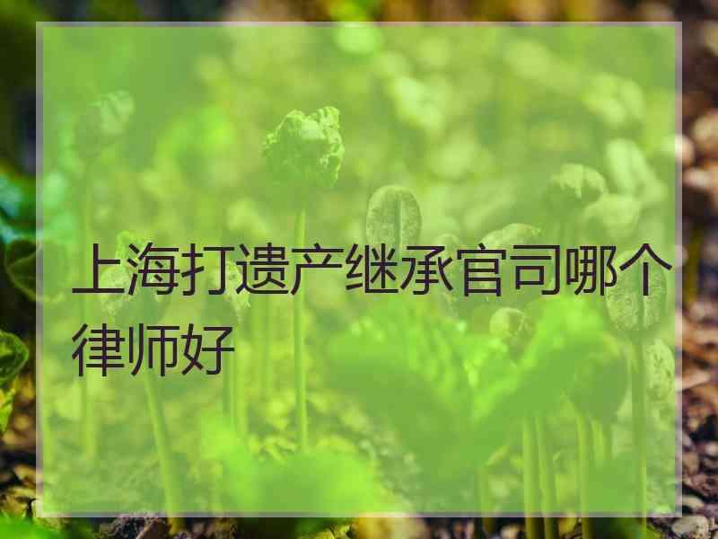 上海打遗产继承官司哪个律师好