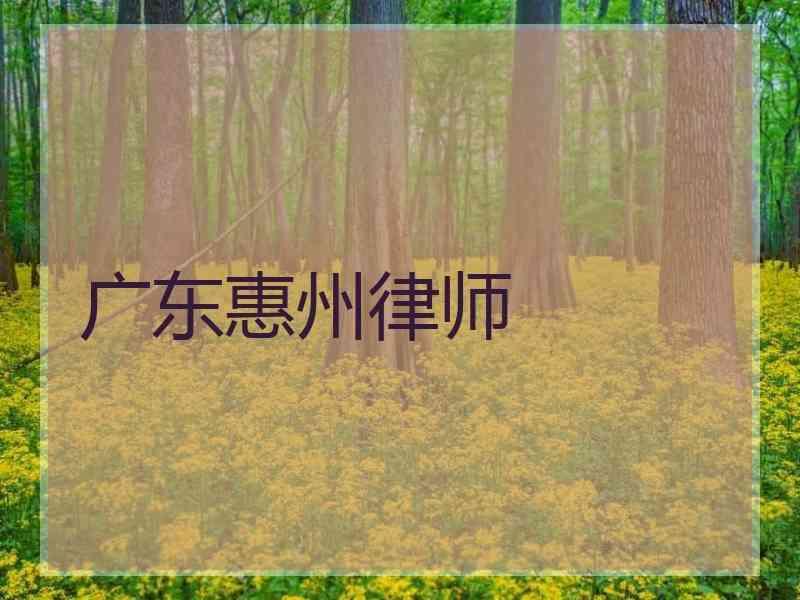 广东惠州律师