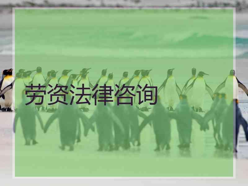 劳资法律咨询
