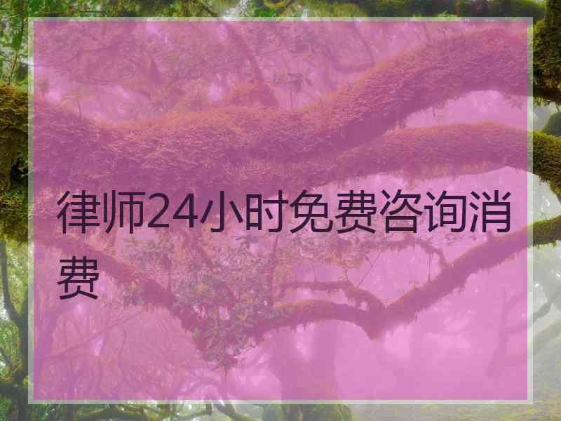 律师24小时免费咨询消费