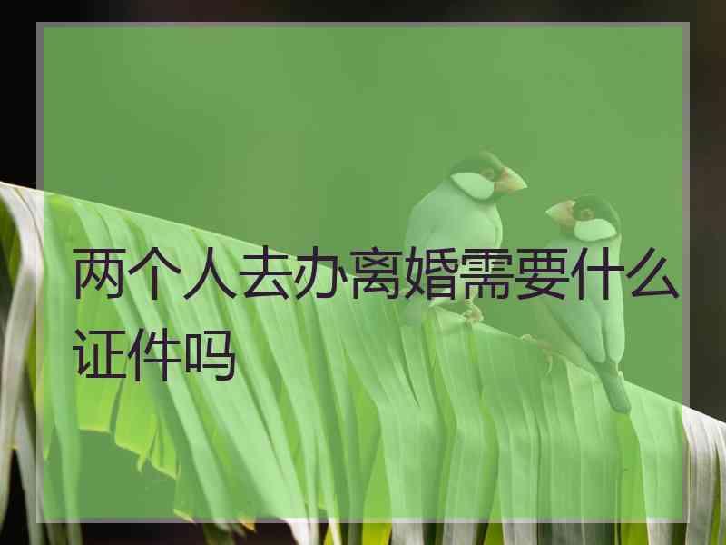 两个人去办离婚需要什么证件吗