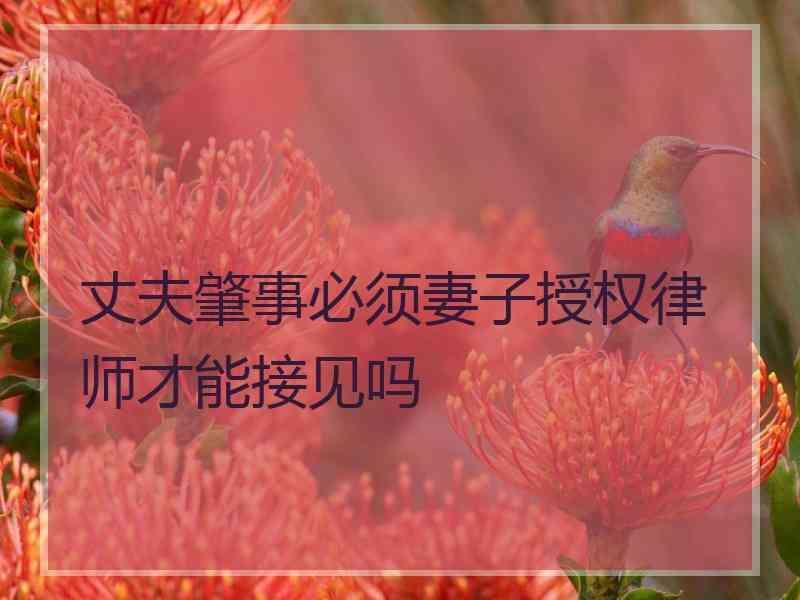 丈夫肇事必须妻子授权律师才能接见吗