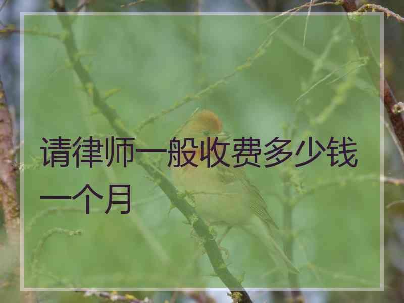 请律师一般收费多少钱一个月