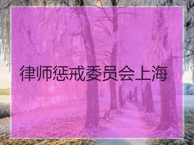 律师惩戒委员会上海
