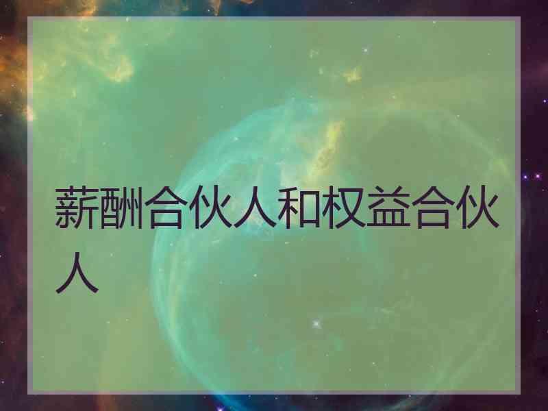 薪酬合伙人和权益合伙人