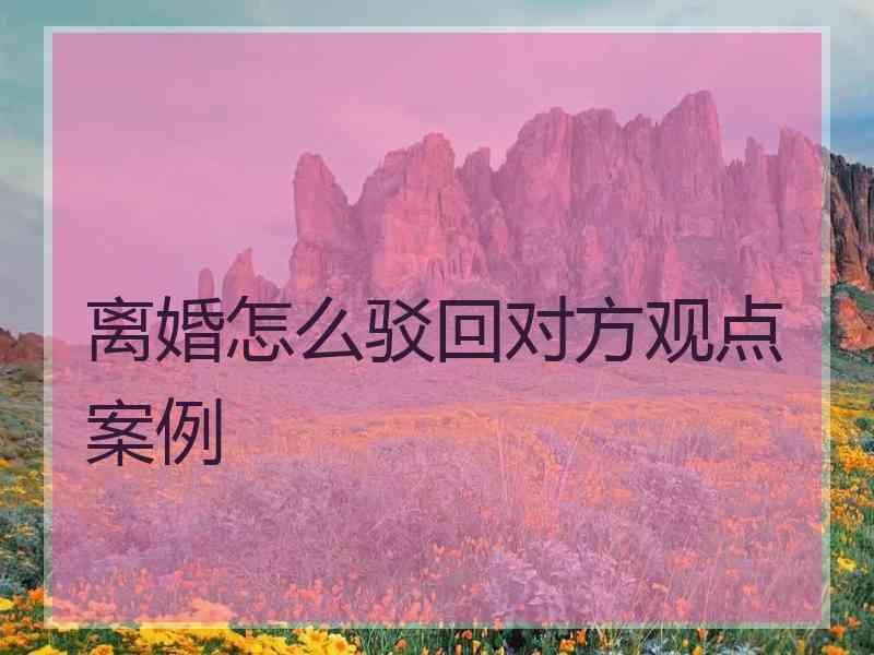 离婚怎么驳回对方观点案例