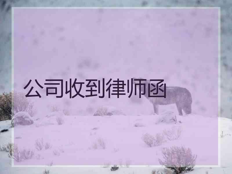 公司收到律师函