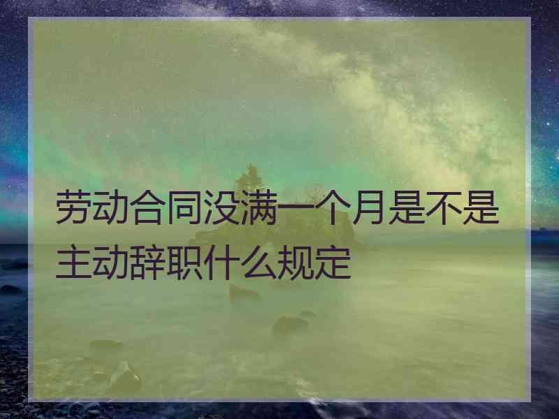 劳动合同没满一个月是不是主动辞职什么规定